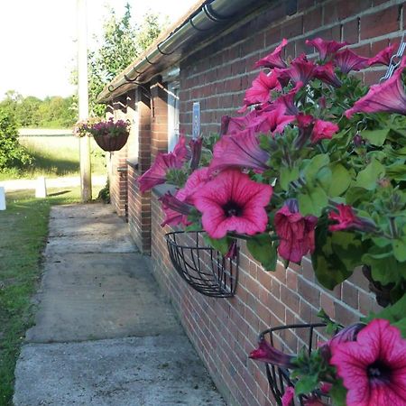 Bed and Breakfast Lockgate Dairy Chichester Exterior foto
