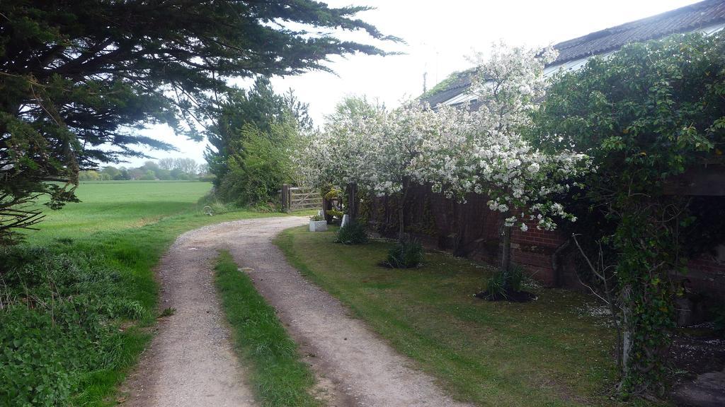 Bed and Breakfast Lockgate Dairy Chichester Exterior foto